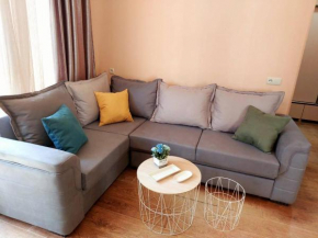Sunny 1BR with balcony in Krtsanisi